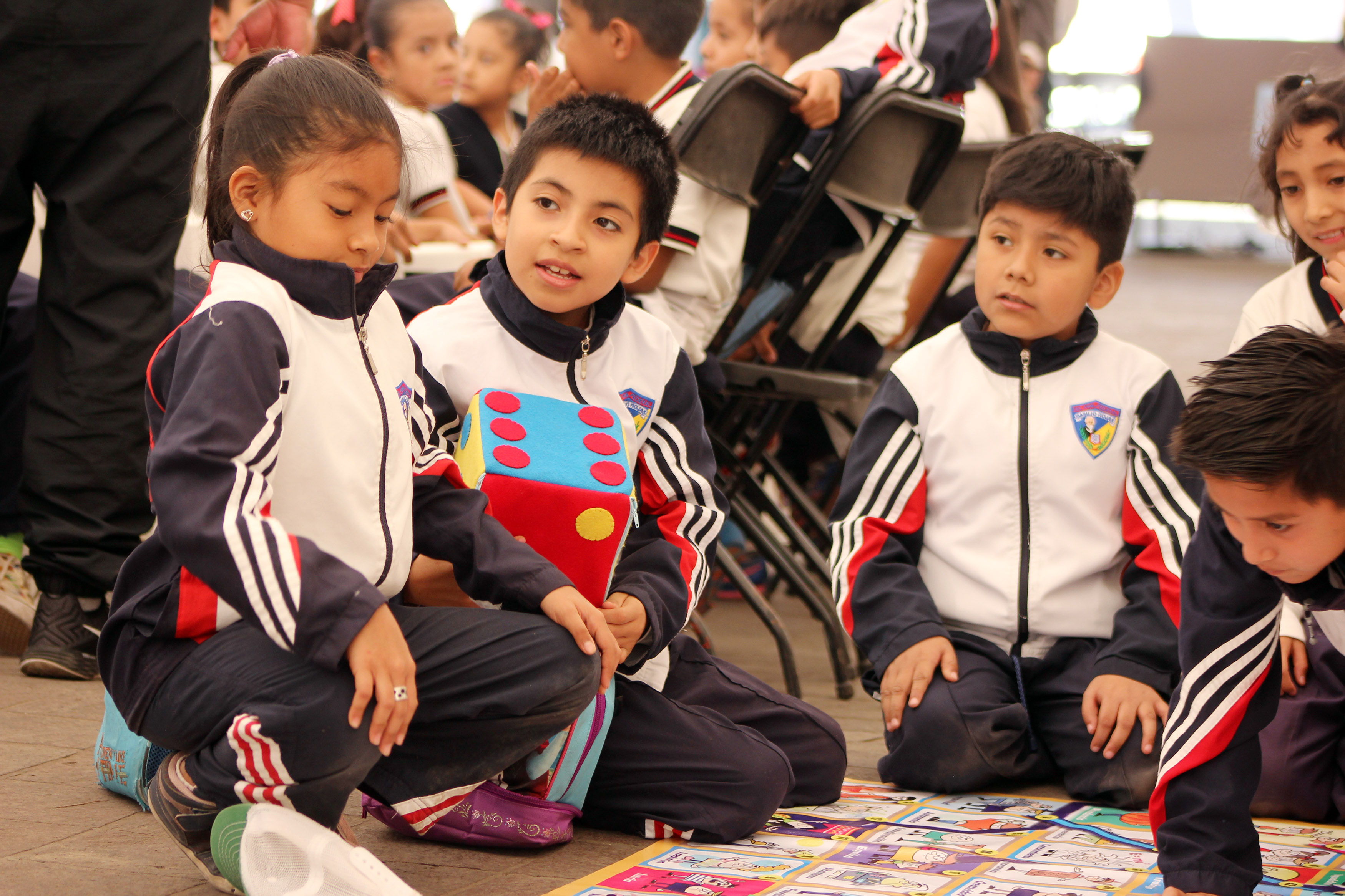 Promoción de los valores de la democracia